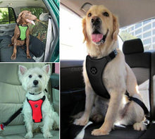 OBSHAGA® Canine Safety Harness & Seat Belt